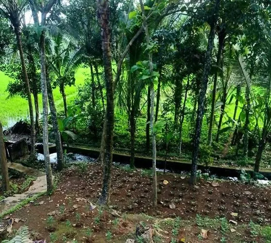 Villa House, Quiet Place Overlooking Rice Fields