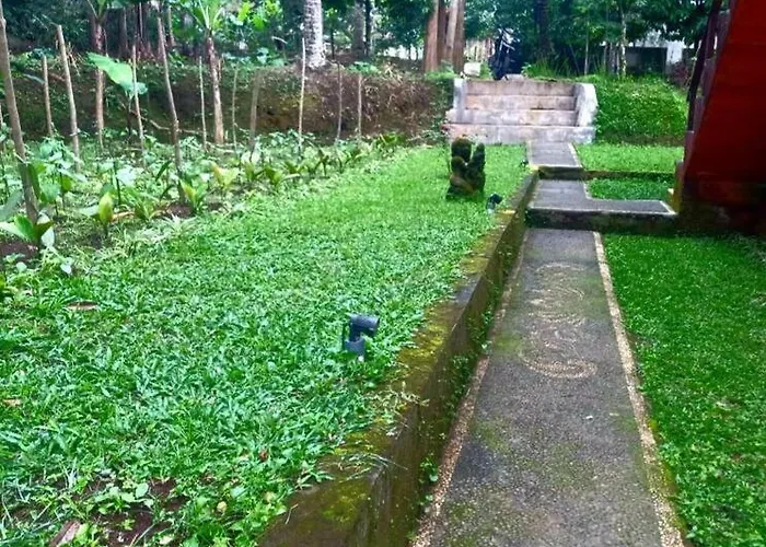 Villa House, Quiet Place Overlooking Rice Fields *