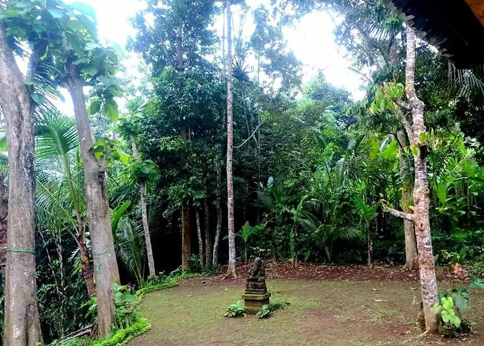 House, Quiet Place Overlooking Rice Fields Villa