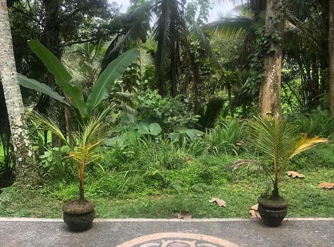 House, Quiet Place Overlooking Rice Fields * Ubud