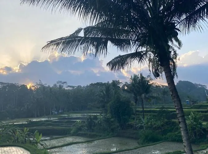 House, Quiet Place Overlooking Rice Fields Ubud