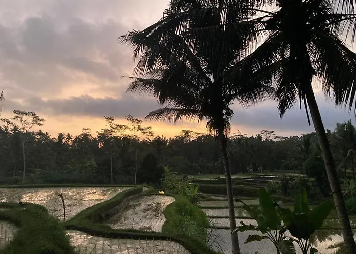House, Quiet Place Overlooking Rice Fields *